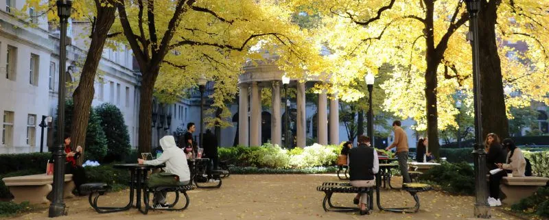 Van Am Quad