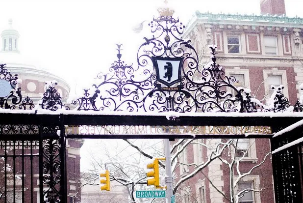 Barnard gates